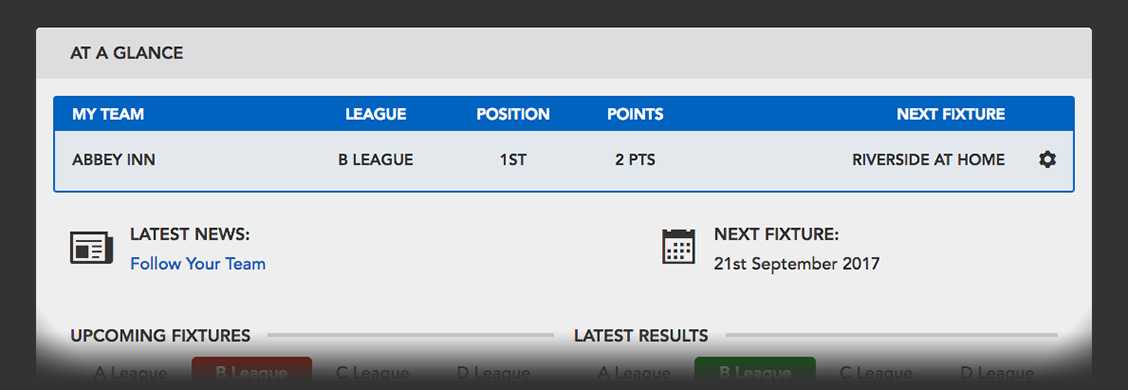 Your Team Section on homepage